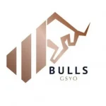 Bulls_Girisim__BULGS__halka_arz_tarihi_ackland_1739286148